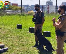 Batalhão da PM de Pato Branco (PR) recebe alunos para o projeto Café com a PM