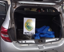 BPFRON apreende mais de 200 quilos de maconha, arma de fogo e carro roubado no Oeste do estado