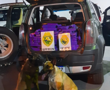 BPFron apreende carro carregado com mais de 300 quilos de maconha em Toledo (PR)