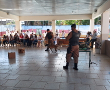 Equipe de Operações com Cães participa de atividade em colégio em Santo Antônio da Platina (PR)