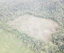 Polícia Ambiental aplica mais de R$ 1 milhão em Autos de infração ambiental contra suspeitos de desmatamento e rinha de galo, em ocorrências distintas