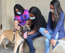 Equipe de Operações com Cães recebe admiradora da PM em Jacarezinho (PR)