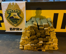 BPRv apreende mais de 250 quilos de maconha durante operação em Iporã (PR)