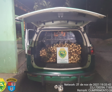 Carga de palmito escondida em caixas de bananas é localizada pela Polícia Ambiental em Guaraqueçaba (PR)