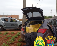 Mais de meia tonelada de maconha é apreendida pela ROTAM em Ouro Verde do Oeste (PR)