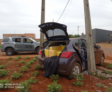 Mais de meia tonelada de maconha é apreendida pela ROTAM em Ouro Verde do Oeste (PR)