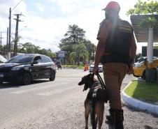 Polícia Rodoviária utiliza cães de faro contra o tráfico de drogas no Litoral