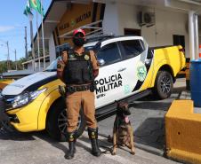 Polícia Rodoviária utiliza cães de faro contra o tráfico de drogas no Litoral