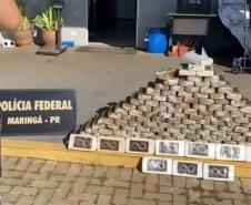 Polícia Militar e Federal apreendem 170 quilos de cocaína em Maringá (PR)