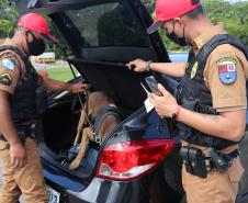 Polícia Militar Rodoviária flagra mais de 4 mil motoristas em excesso de velocidade