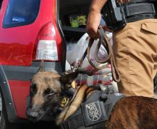 Polícia Militar Rodoviária flagra mais de 4 mil motoristas em excesso de velocidade