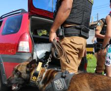 Polícia Militar Rodoviária flagra mais de 4 mil motoristas em excesso de velocidade