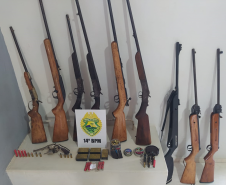 PM apreende mais de 500 munições e sete armas de fogo no Oeste do estado