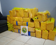 BPFRON apreende quase meia tonelada de maconha em São Miguel do Iguaçu (PR)