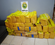 BPFRON apreende quase meia tonelada de maconha em São Miguel do Iguaçu (PR)