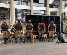 BPRv recebe cinco cães de faro e um veículo próprio para o transporte