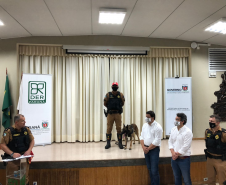 BPRv recebe cinco cães de faro e um veículo próprio para o transporte