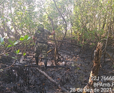 Policiais Ambientais apreendem 1,5 lacinhos e um gerival usados para pesca ilegal no Litoral do estado