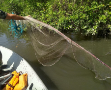 Policiais Ambientais apreendem 1,5 lacinhos e um gerival usados para pesca ilegal no Litoral do estado