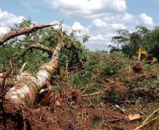 Batalhão Ambiental aplicou R$ 60,2 milhões em multas e atendeu 14 mil ocorrências em 2021