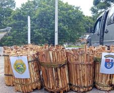 Batalhão Ambiental aplicou R$ 60,2 milhões em multas e atendeu 14 mil ocorrências em 2021