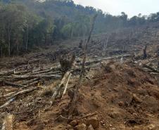 Batalhão Ambiental aplicou R$ 60,2 milhões em multas e atendeu 14 mil ocorrências em 2021