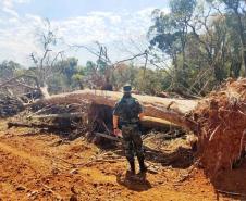 Batalhão Ambiental aplicou R$ 60,2 milhões em multas e atendeu 14 mil ocorrências em 2021