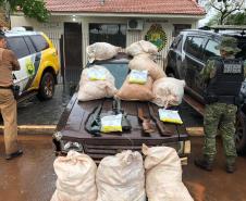 BPFron quadruplica apreensões de contrabando e tira de circulação 41 toneladas de drogas