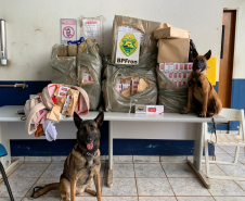 BPFron apreende mais de 700 quilos de maconha e cigarros contrabandeados durante a Operação Hórus