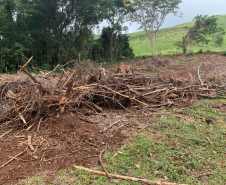 Polícia Ambiental apreende armamento e localiza desmatamento em Matelândia (PR)