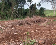 Polícia Ambiental apreende armamento e localiza desmatamento em Matelândia (PR)