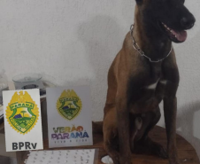 Em diferentes cidades, policiais rodoviários estaduais apreendem 200 quilos de maconha, porções de crack e equipamentos eletrônicos