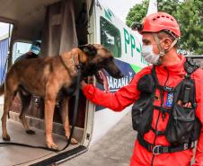 Governo do Paraná envia 10 bombeiros e cães para buscas a desaparecidos em Petrópolis
