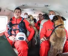 Governo do Paraná envia 10 bombeiros e cães para buscas a desaparecidos em Petrópolis