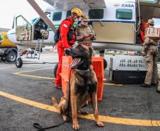 Governo do Paraná envia 10 bombeiros e cães para buscas a desaparecidos em Petrópolis
