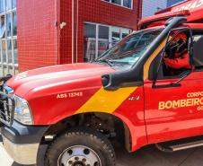 Primeiro grupo de bombeiros paranaenses e cães de faro viaja para Petrópolis
