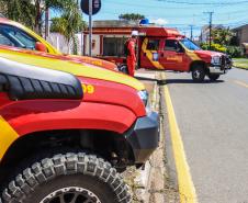 Primeiro grupo de bombeiros paranaenses e cães de faro viaja para Petrópolis