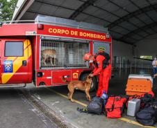 Governo do Paraná envia 10 bombeiros e cães para buscas a desaparecidos em Petrópolis
