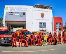 Primeiro grupo de bombeiros paranaenses e cães de faro viaja para Petrópolis