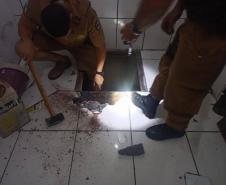 Policiais militares da ROTAM de Paranaguá localizam depósito com pasta base de cocaína estimada em R$ 150 milhões