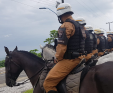 Polícia Militar reforça policiamento no Litoral com unidades especializadas