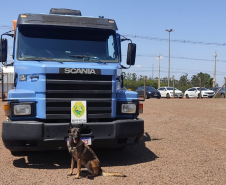 BPFRON apreende quase 50 quilos de maconha e recupera 32 toneladas de soja no Oeste do estado