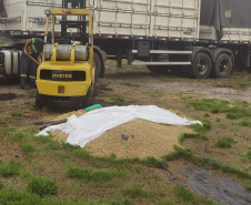 PM recupera 35 toneladas de cevada e insumo agrícola desviados em Paranaguá, no Litoral do estado