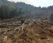 Batalhão de Polícia Ambiental aumenta parcerias e multas crescem R$ 19 milhões em 2 anos