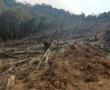 Batalhão de Polícia Ambiental aumenta parcerias e multas crescem R$ 19 milhões em 2 anos