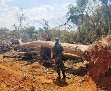 Batalhão de Polícia Ambiental aumenta parcerias e multas crescem R$ 19 milhões em 2 anos