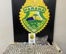 BPTran reforça ações ostensivas e apreensões de drogas aumentam em Curitiba