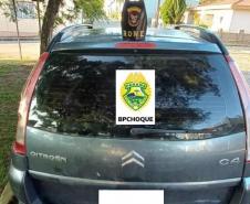 Policiais militares apreendem cinco armas de fogo após confronto armado na Lapa (PR)