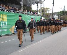 Tropas da Polícia Militar participam do desfile cívico-militar alusivo ao Dia da Independência. 