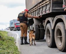 BPRv intensificará fiscalizações durante o feriado de Independência